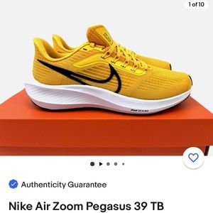 Nike Air Zoom Pegasus